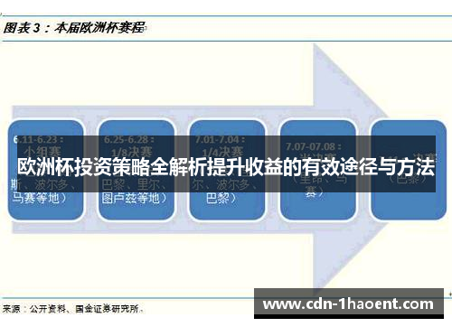 欧洲杯投资策略全解析提升收益的有效途径与方法