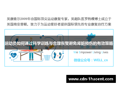运动员如何通过科学训练与合理恢复避免肾脏损伤的有效策略