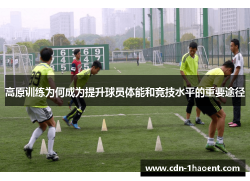 高原训练为何成为提升球员体能和竞技水平的重要途径