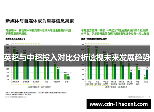 英超与中超投入对比分析透视未来发展趋势