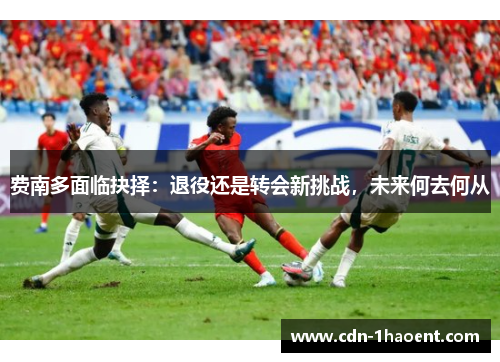 费南多面临抉择:退役还是转会新挑战,未来何去何从 费南多面临抉择:退役还是转会新挑战,未来何去何从