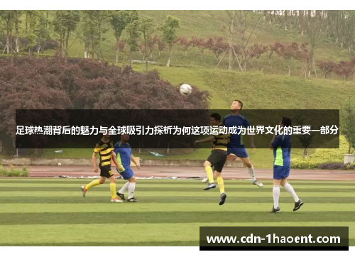 足球热潮背后的魅力与全球吸引力探析为何这项运动成为世界文化的重要一部分