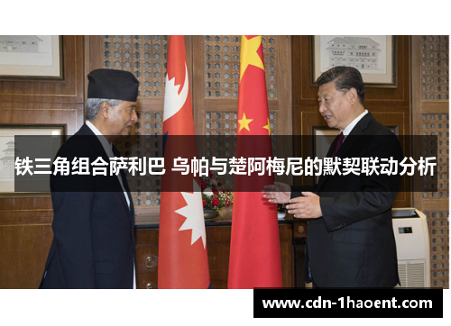 铁三角组合萨利巴 乌帕与楚阿梅尼的默契联动分析